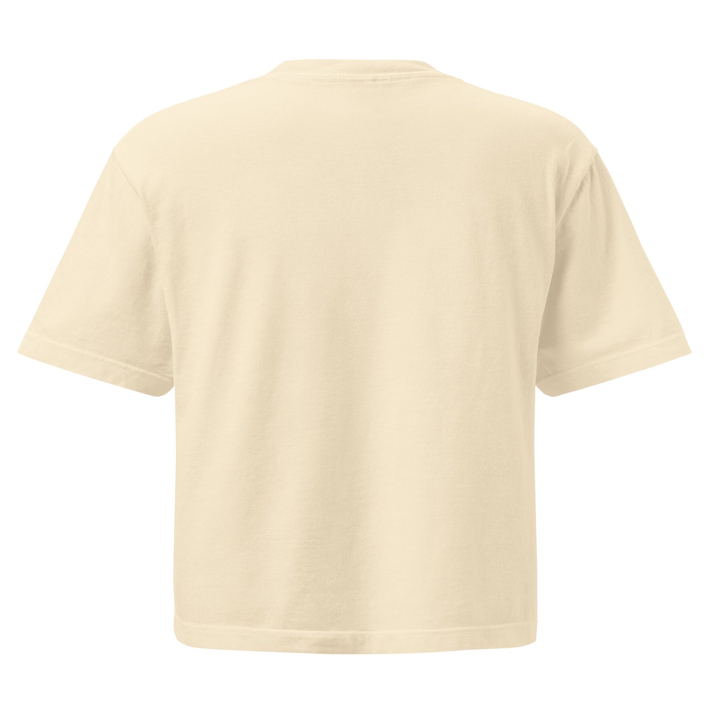 LVRC boxy tee